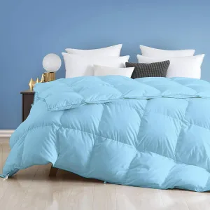 100% Cotton Box Stitched Comforter Set with 500 GSM Fill Power Super King Plus (120''x120'') Size Sky Blue Comforter (1 Piece Set)