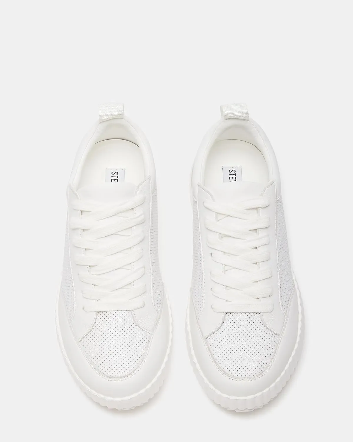 Steve Madden Women's Shock Sneaker